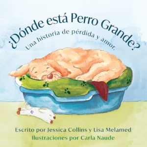 ¿Dónde está Perro Grande?