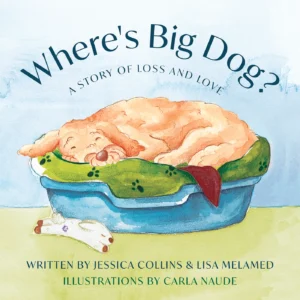 The front cover of Where's Big Dog?